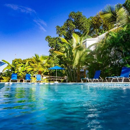 Cozy And Central Apartment 1Br-1Ba With Pool โซซูอา ภายนอก รูปภาพ