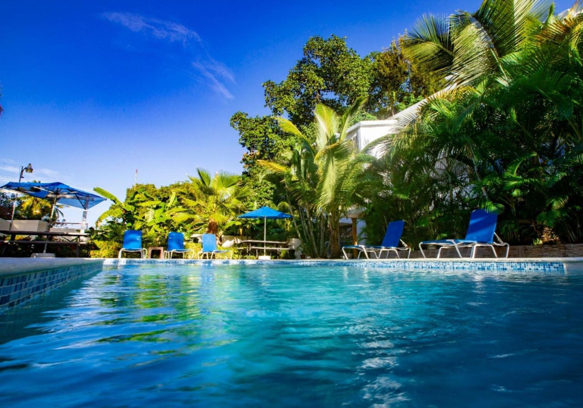 Cozy And Central Apartment 1Br-1Ba With Pool โซซูอา ภายนอก รูปภาพ